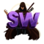 Server icon