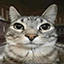 Server icon