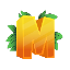 Server icon