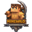 Server icon